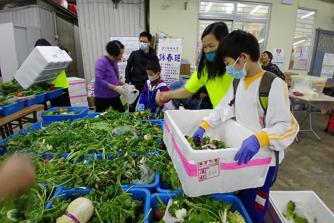分類整理剩食