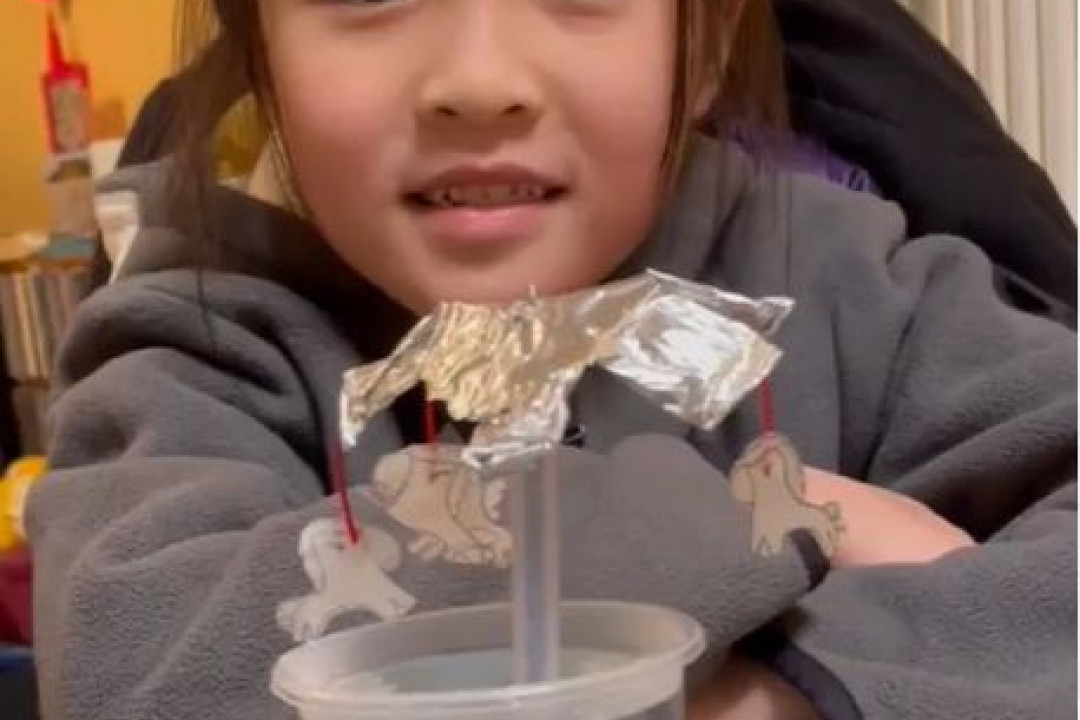 P3 STEAM 自製旋轉木馬