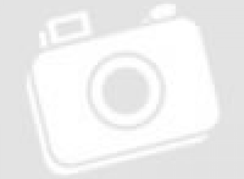 第三十三屆香港小學數學奧林匹克比賽